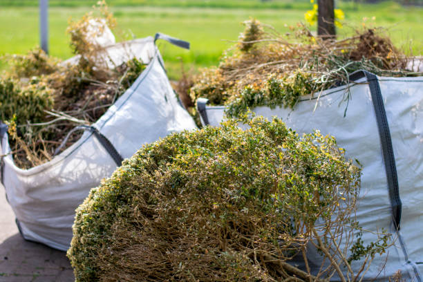 Best Hoarding Cleanup  in Odon, IN